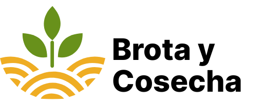 Brota y Cosecha